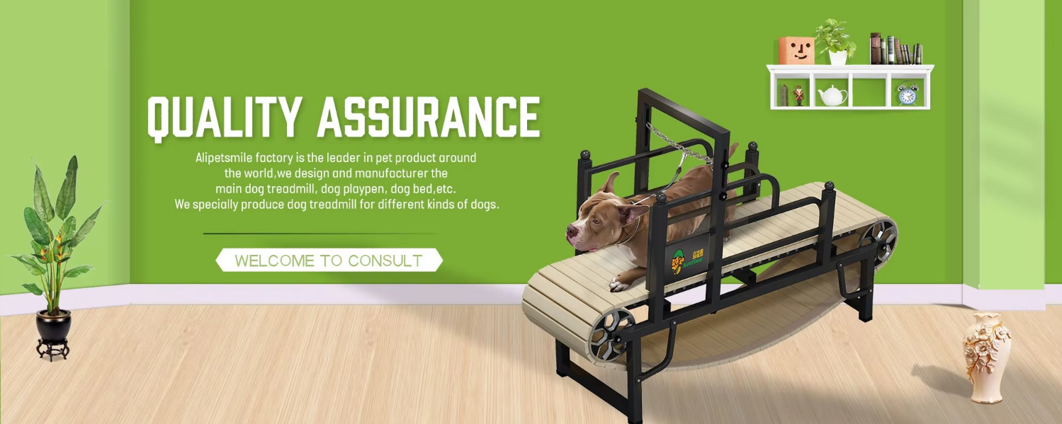 Corridoio per addestramento per cani