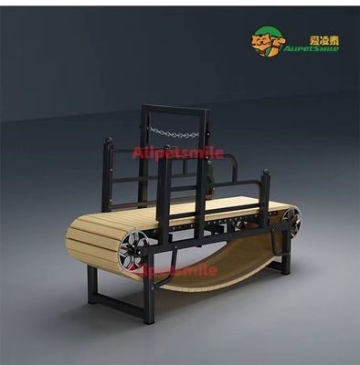 Pet Daily Training Slat Mill Tapis roulant in acciaio inossidabile per Pit Bull Routine di esercizio