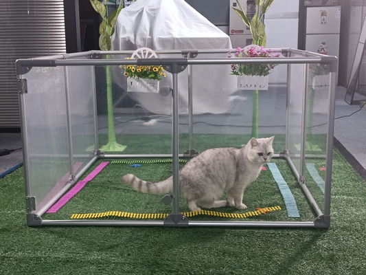 Pet Playpen Kennel in stile House Fashion con rivestimento in polvere ed elettroforesi