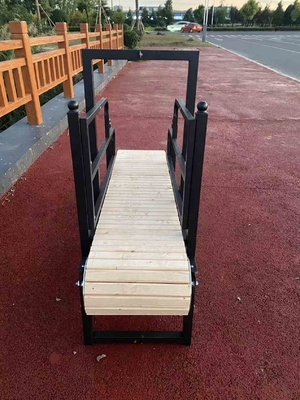 Tapis roulant per cani rivestito con elettroforesi e attrezzature di corsa per cani sicure