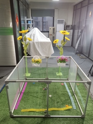 12 pannelli Recinzione visibile per animali da compagnia Recinto di gioco acrilico per cani per rettili Spessore personalizzato 3 mm