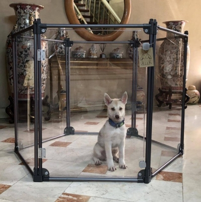 Fino al mercato USA DIY trasparente pieghevole recinzione per animali domestici gabbia per piccoli animali