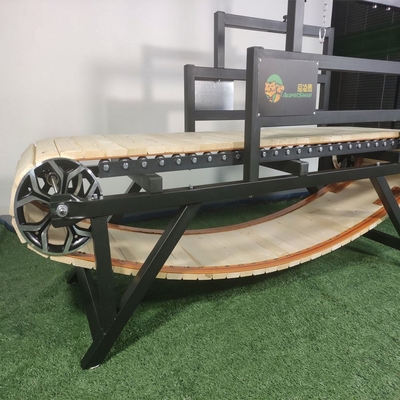 Allenamento giornaliero per animali domestici tapis roulant senza motore con colore personalizzato e acciaio di peso SAP