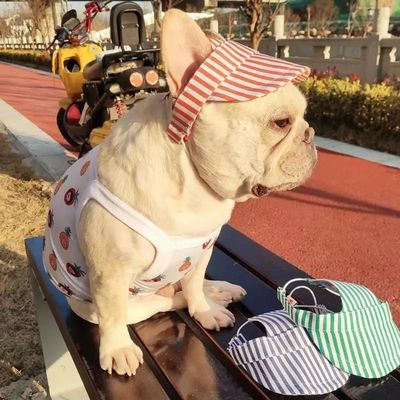 OEM ODM accettabile personalizzato di moda Pet Hat cane cappello da baseball stile di moda