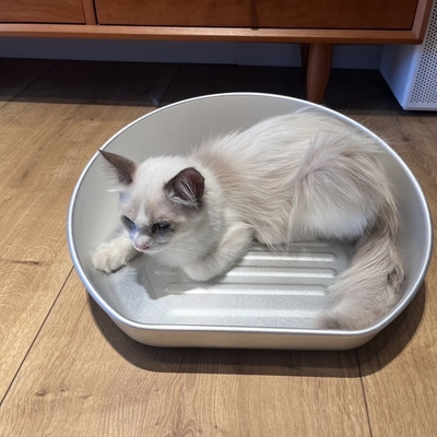 Lavaggio a mano grande pet Cat Litter Pan Modello solido Pulizia manuale Kitty Cat Toilet Box
