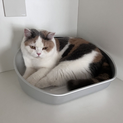 Lavaggio a mano grande pet Cat Litter Pan Modello solido Pulizia manuale Kitty Cat Toilet Box