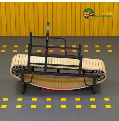 Dimensione personalizzata Alipetsmile Pet Dog Treadmill allenare il vostro cane con facilità ed efficienza