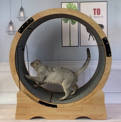 Cat Climbing Frame Fiberboard Cat Wheel Treadmill Silent Exercise Running Toy per gatti