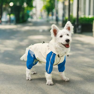 Abbigliamento per animali domestici Mantello impermeabile Modello animale Dimensione ridotta per cani Estate/Primavera