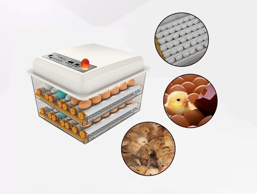 Incubatore domestico per l'incubatura di polli, anatre, oche e uova di piccione