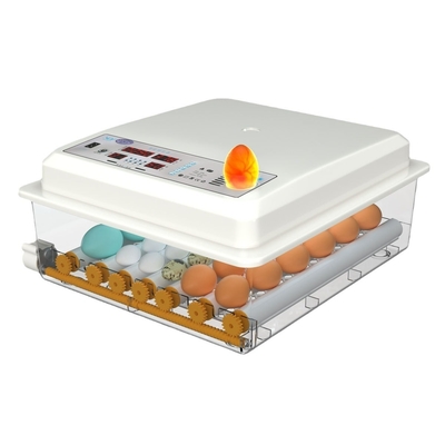 20 GP carico 70 set incubatore di uova di gallina completamente automatico per l'allevamento di pollame