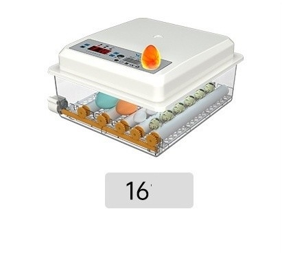 20 GP carico 70 set incubatore di uova di gallina completamente automatico per l'allevamento di pollame