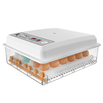 16 uova mini incubatrice automatica digitale per altri prodotti per animali domestici all'interno del porto di navigazione
