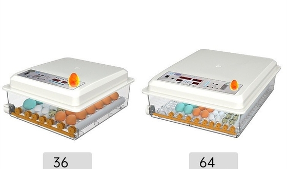 16 uova mini incubatrice automatica digitale per altri prodotti per animali domestici all'interno del porto di navigazione