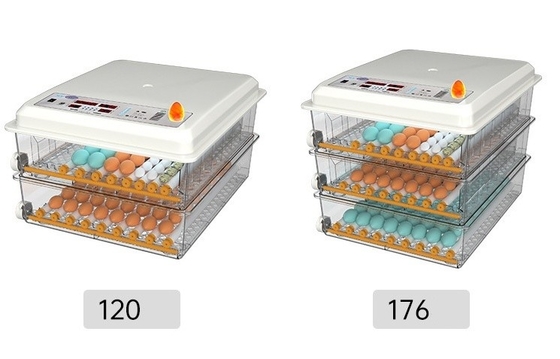 16 uova mini incubatrice automatica digitale per altri prodotti per animali domestici all'interno del porto di navigazione