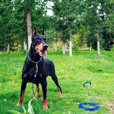 Prodotti per animali domestici per l'aria aperta