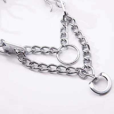 Collare da cane d' argento per addestramento degli animali domestici Collare Aheasoun Prong Collare Choke Collare Pinch Collar
