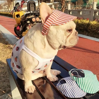 Cappelli per animali da compagnia per sport all'aperto con buco per orecchie Cappuccio da baseball regolabile per cani con modello stampato