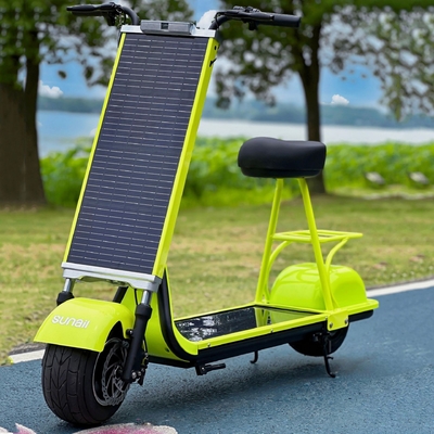Scooter di bilanciamento solare elettrico per il trasporto di carico quantità 40 HQ carico 168 set