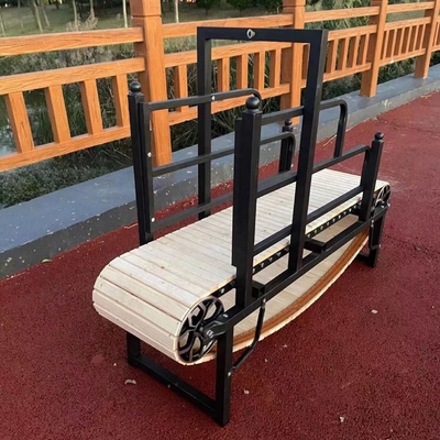 Tapis roulant per cani e gatti Piccoli animali amichevoli Porto di Shanghai o Nanchino