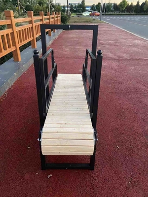 Tapis roulant per animali domestici per allenamento e esercizio quotidiano 28cm/43kg/50kg Capacità