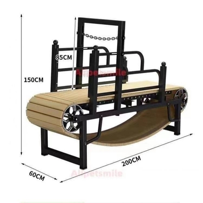 Mettete in forma i vostri cani con un tapis roulant per cani