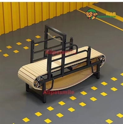 Mettete in forma i vostri cani con un tapis roulant per cani