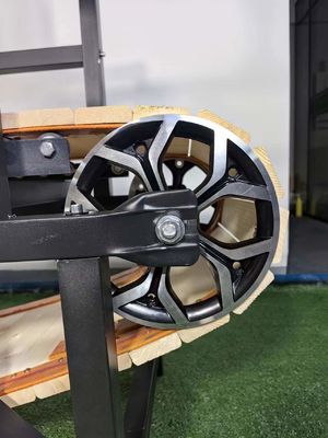 Treadmill manuale in legno per cani Soluzione personalizzata per animali da compagnia per rettili e cani di grandi dimensioni