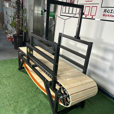 Electrophoresis Slat Mill per cani Alipetsmile Dog Running Machine Tapis roulant