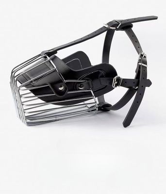 Muschio nero per cane Pitbull Pastore Piccolo cucciolo Retriever Muschio per animali da compagnia