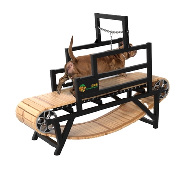 Tapis roulant per cani in acciaio inossidabile per Pit Bull