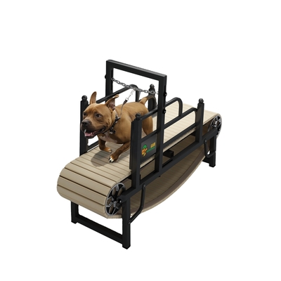 Tapis roulant per cani in acciaio inossidabile per Pit Bull