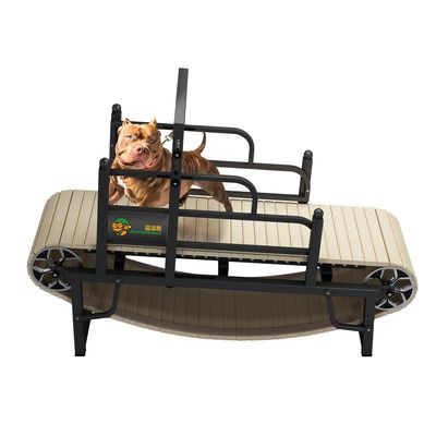 Treadmill di addestramento per cani di grandi dimensioni Altri prodotti per animali domestici provenienti da Shanghai o dal porto di Nanchino