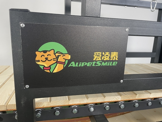 Macchina di tapis roulant per cani in acciaio inossidabile a colori personalizzati
