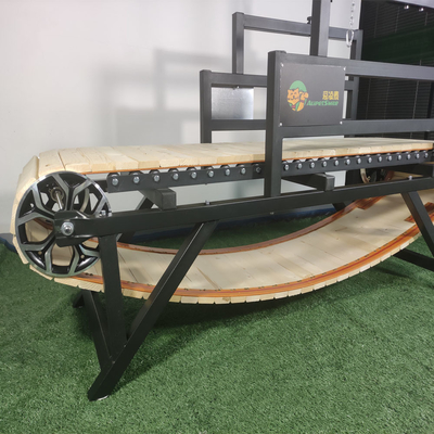 Prodotti per l'addestramento del comportamento degli animali domestici Treadmill per cani personalizzato con OEM e ODM accettato