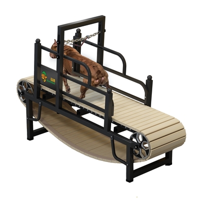 Alipetsmile Pit Bull Running Machine Pet Training Slat Treadmill per cani di grandi dimensioni