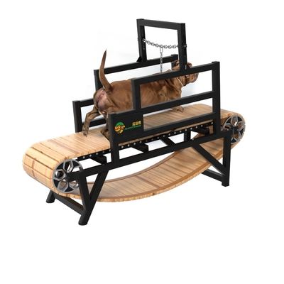 Stocked Alipetsmile Dog Treadmill per Pit Bull Running altri prodotti per animali domestici