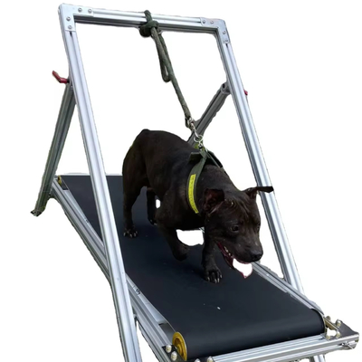 Dog Esercizio Slatmill Animali domestici tapis roulant Macchina da passeggio per Pit Bull Stocked Tapis Mill