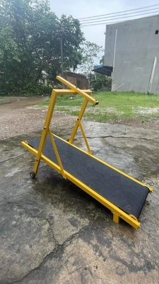 Treadmill pieghevole per cani attrezzature di agilità in acciaio in diversi colori e dimensioni