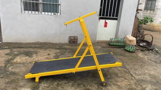Treadmill pieghevole per cani attrezzature di agilità in acciaio in diversi colori e dimensioni