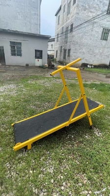 Colorato tapis roulant da cane attrezzatura di agilità in acciaio per cani in un design durevole