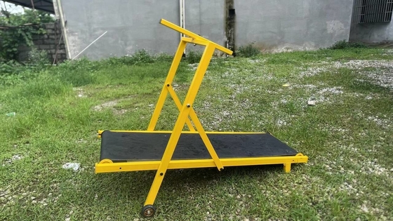 Equipaggiamento di addestramento per animali domestici sicuro e durevole tapis roulant pieghevole per cani grandi accetta OEM ODM