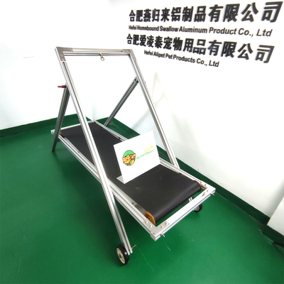 Spedizione veloce a Shanghai o Nanjing Port Dog treadmill per cani di medie e grandi dimensioni