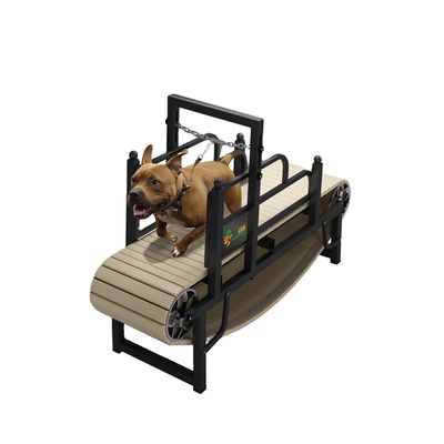 Treadmill di addestramento per cani di grandi dimensioni per animali domestici all'aperto Porto di Shanghai o Porto di Nanchino