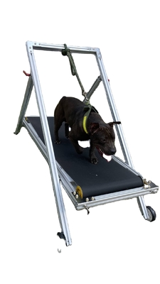 Fabbrica di tappeti per cani di alluminio medio grande per correre e allenarsi
