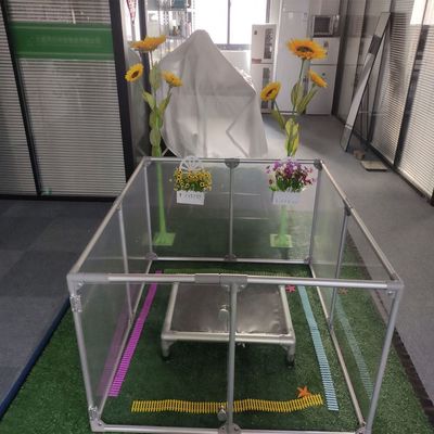 6063/6061/6005/6082/6060 Leghe acriliche pieghevoli recinzione per animali domestici Disegno trasparente per interni