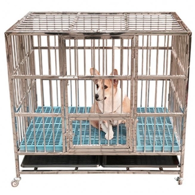 Cage per cani in acciaio inossidabile pieghevole senza modello e chiusura a spinta