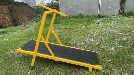 Quantità di carico 20 GP carico 70 set di tapis roulant per cani con funzione regolabile di corsa