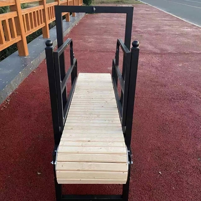 Migliora la routine di fitness del tuo animale domestico con il nostro tapis roulant per cani manuale sostenibile 2022