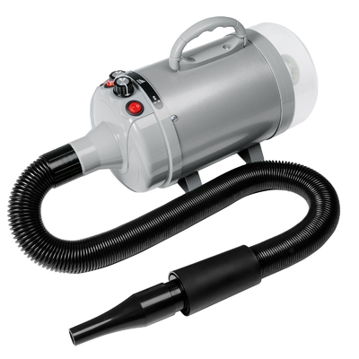 Alta potenza 2100W aspiratore a soffio doppio motore asciugacapelli per cani OEM ODM accettabile